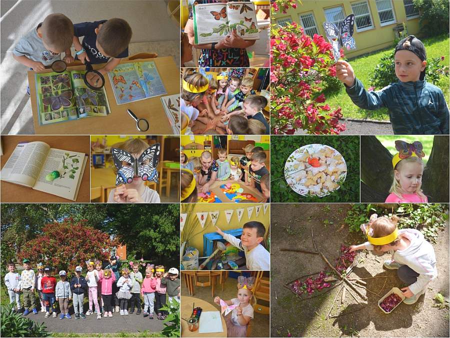 12. 6. 2025 Motýlkový den