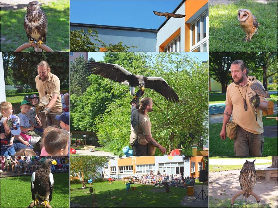 13. 7. 2025 Ukázka dravců