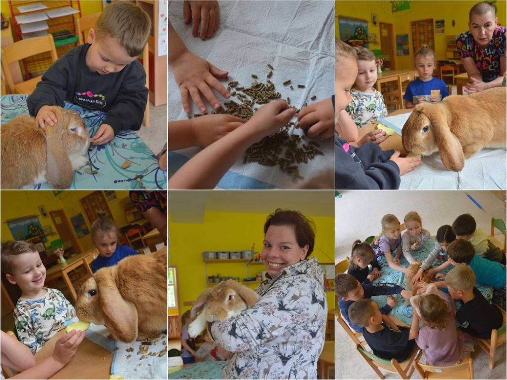 15. 5. 2026 Zvířata k dětem- Králíci