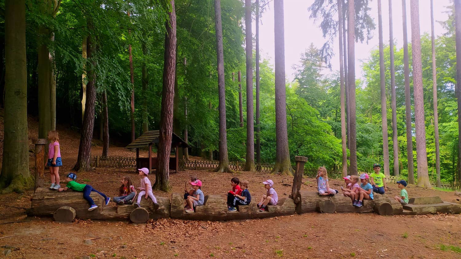 děti v lese