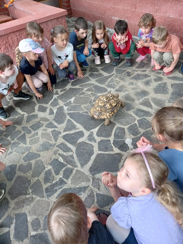foto dětí v zoo foto dětí v zoo