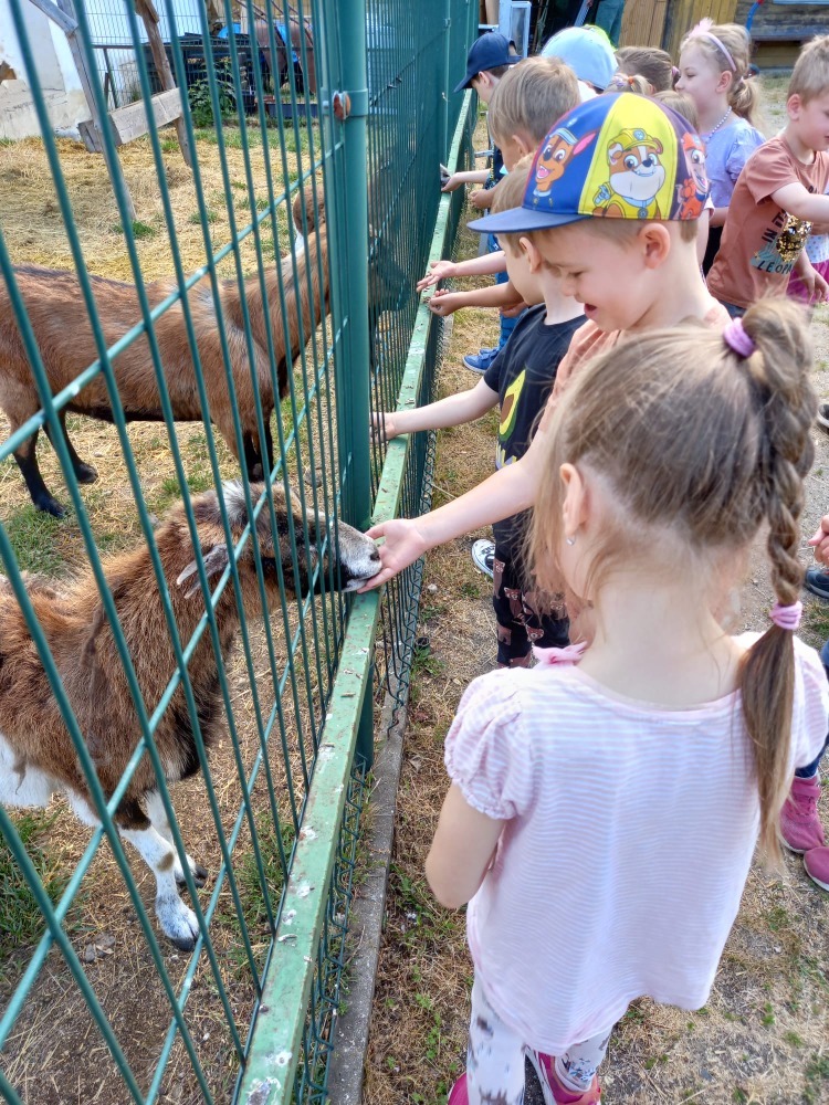 foto dětí v zoo foto dětí v zoo