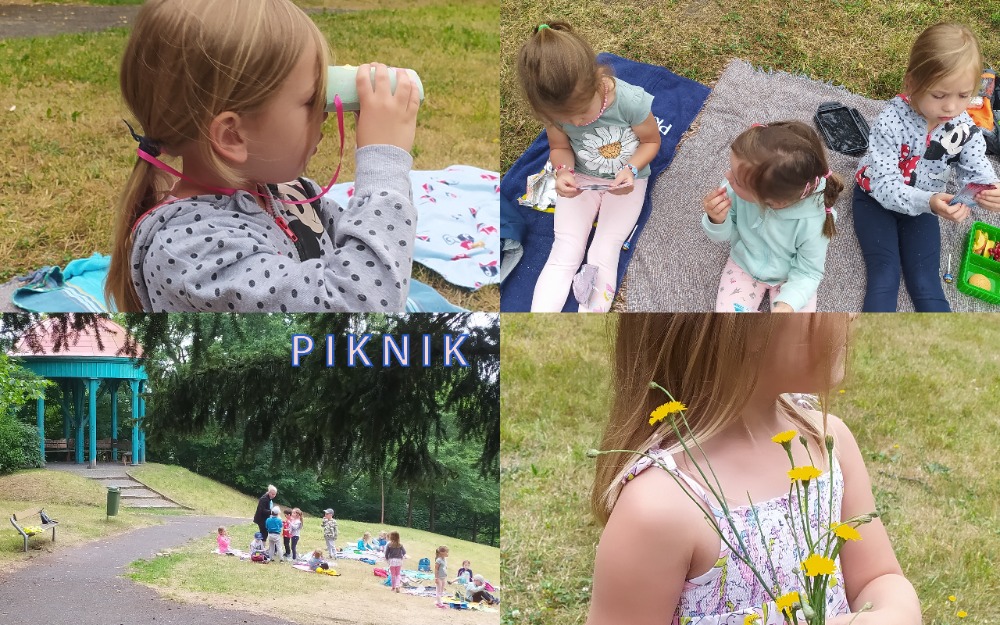 fotografie z pikniku